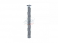 Винт для сифонов АНИ M6 70