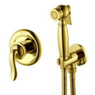 Смеситель встраиваемый Lemark Brava LM4719G с гигиеническим душем